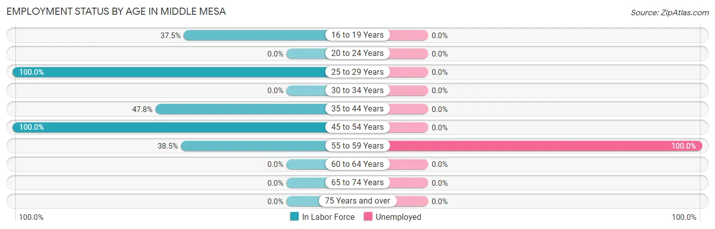 Employment Status by Age in Middle Mesa