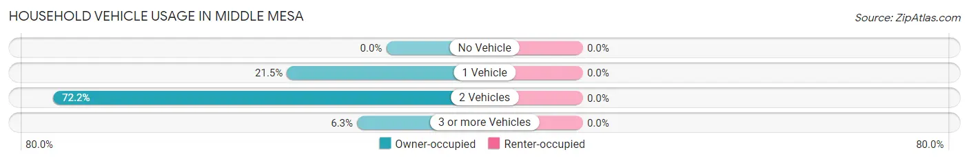 Household Vehicle Usage in Middle Mesa