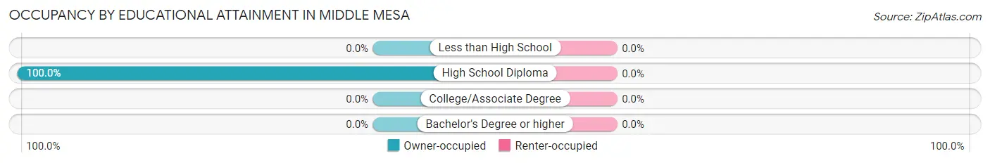 Occupancy by Educational Attainment in Middle Mesa