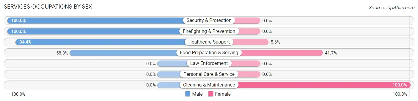 Services Occupations by Sex in Mountainair