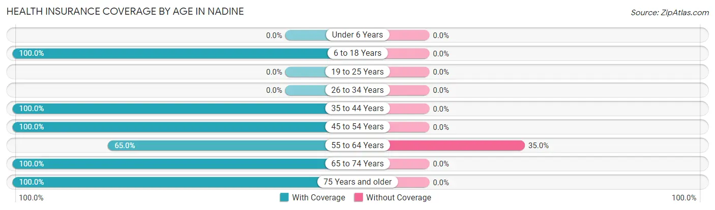 Health Insurance Coverage by Age in Nadine