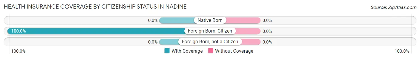 Health Insurance Coverage by Citizenship Status in Nadine