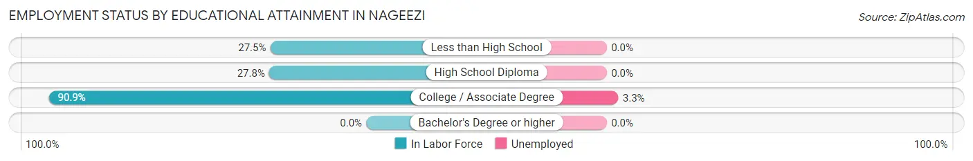 Employment Status by Educational Attainment in Nageezi