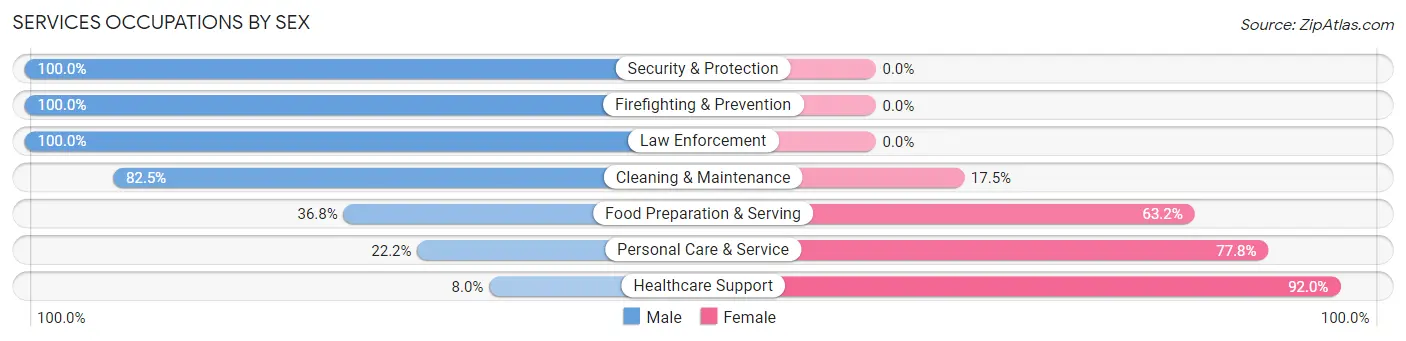 Services Occupations by Sex in Nambe