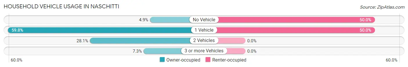 Household Vehicle Usage in Naschitti