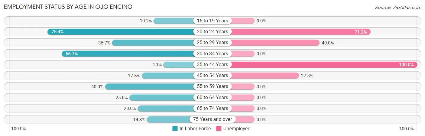 Employment Status by Age in Ojo Encino
