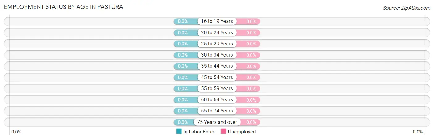 Employment Status by Age in Pastura