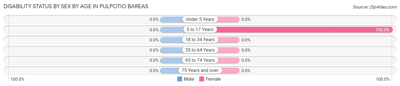 Disability Status by Sex by Age in Pulpotio Bareas