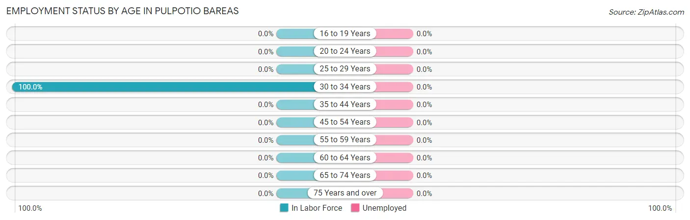 Employment Status by Age in Pulpotio Bareas