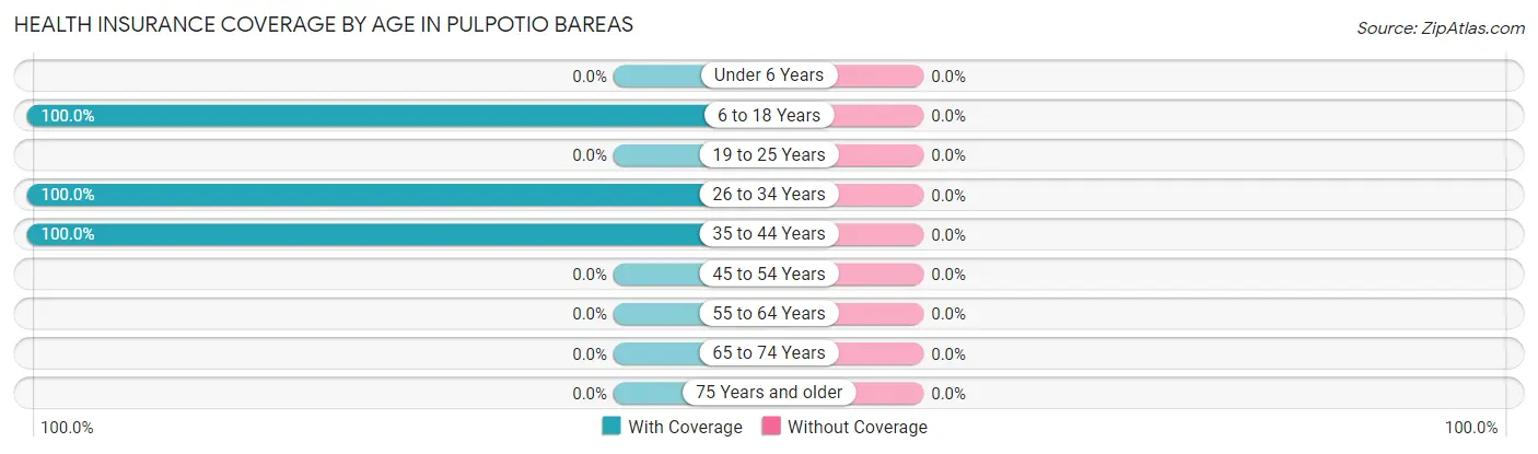 Health Insurance Coverage by Age in Pulpotio Bareas