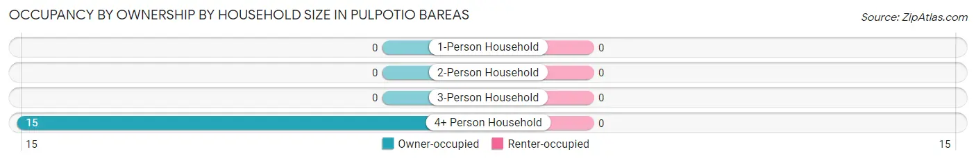 Occupancy by Ownership by Household Size in Pulpotio Bareas