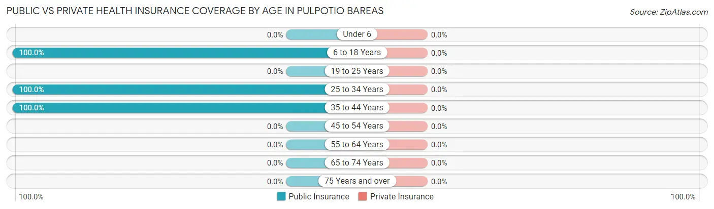 Public vs Private Health Insurance Coverage by Age in Pulpotio Bareas