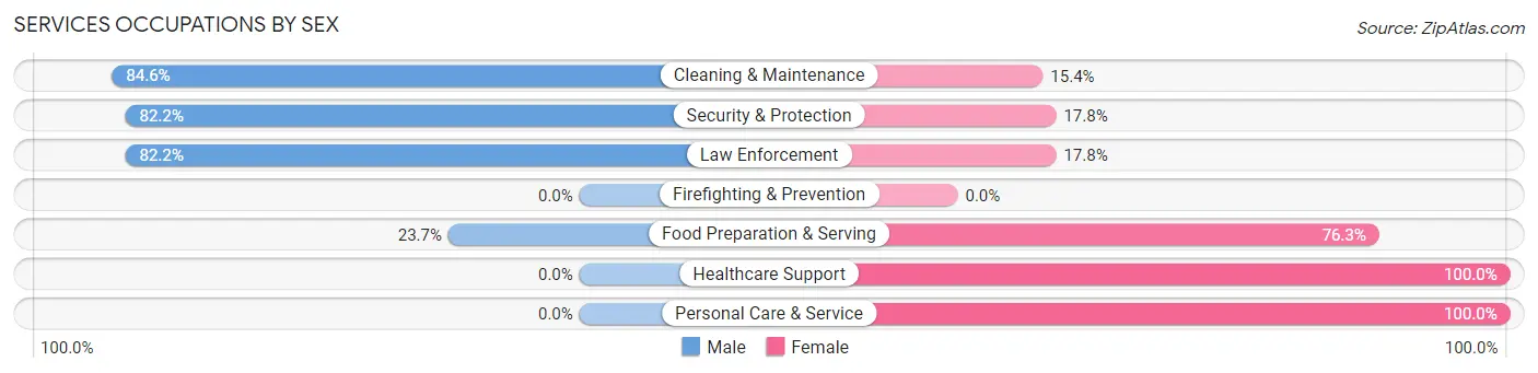 Services Occupations by Sex in Raton