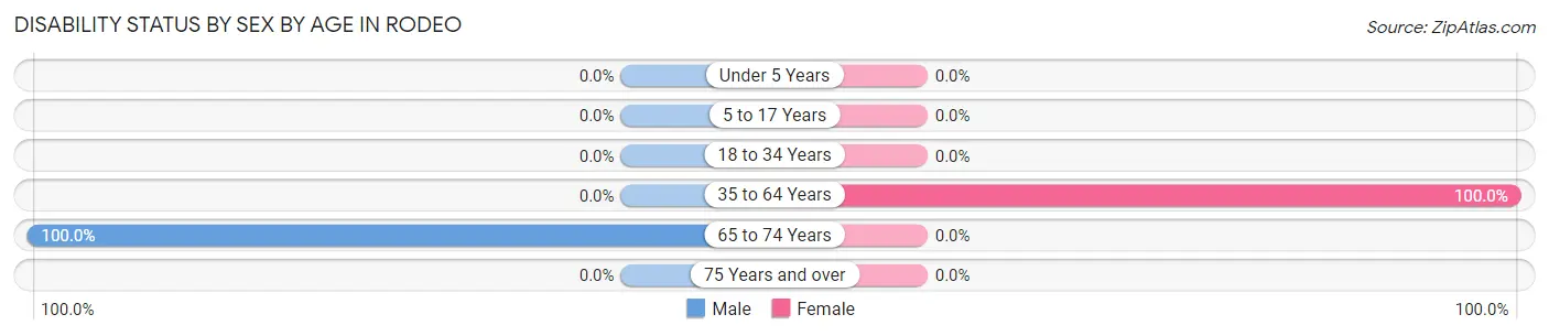 Disability Status by Sex by Age in Rodeo