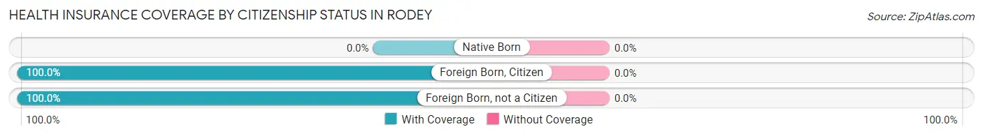 Health Insurance Coverage by Citizenship Status in Rodey