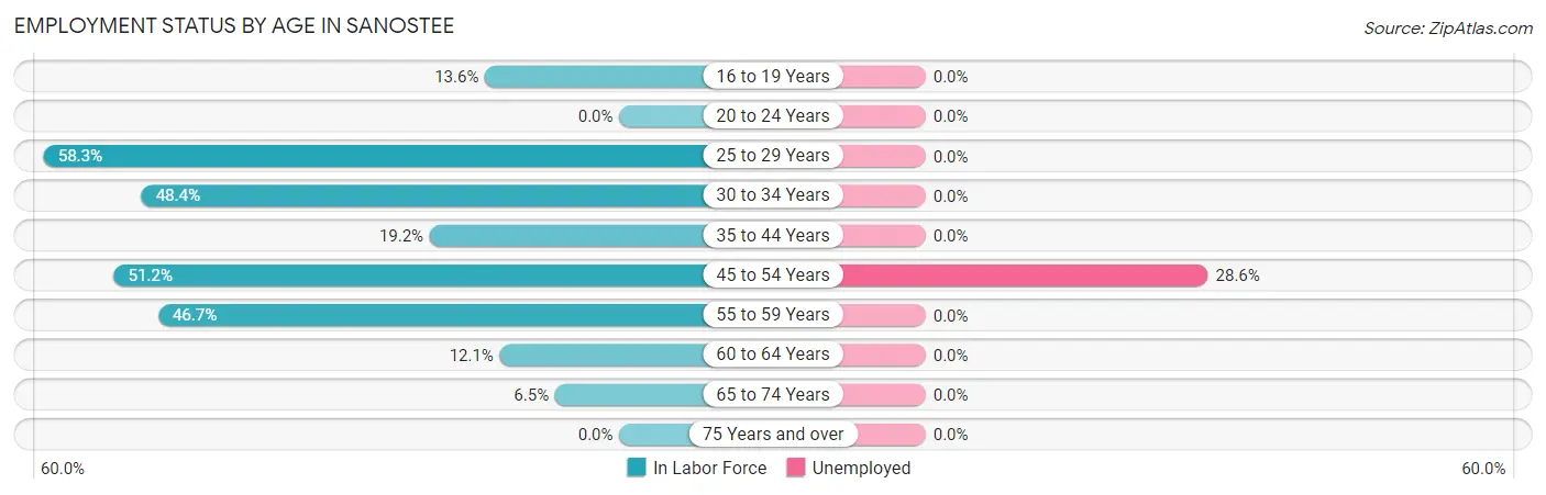 Employment Status by Age in Sanostee