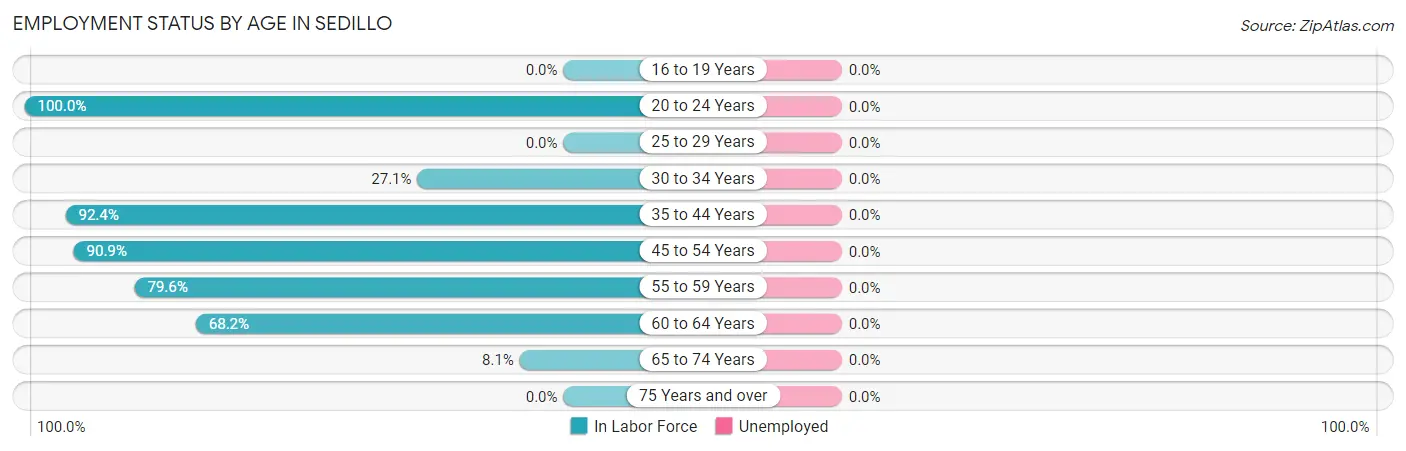 Employment Status by Age in Sedillo