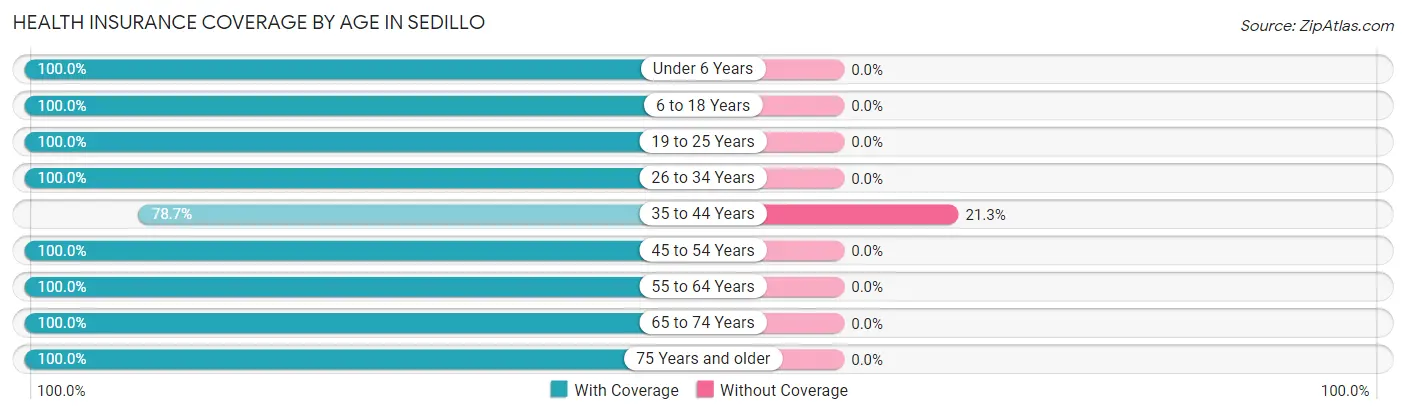 Health Insurance Coverage by Age in Sedillo