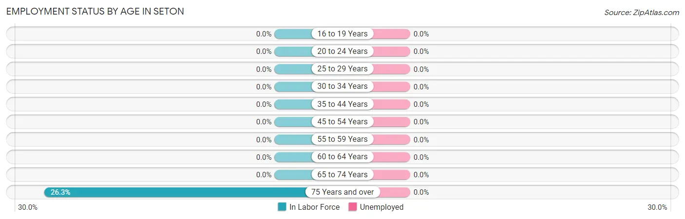 Employment Status by Age in Seton