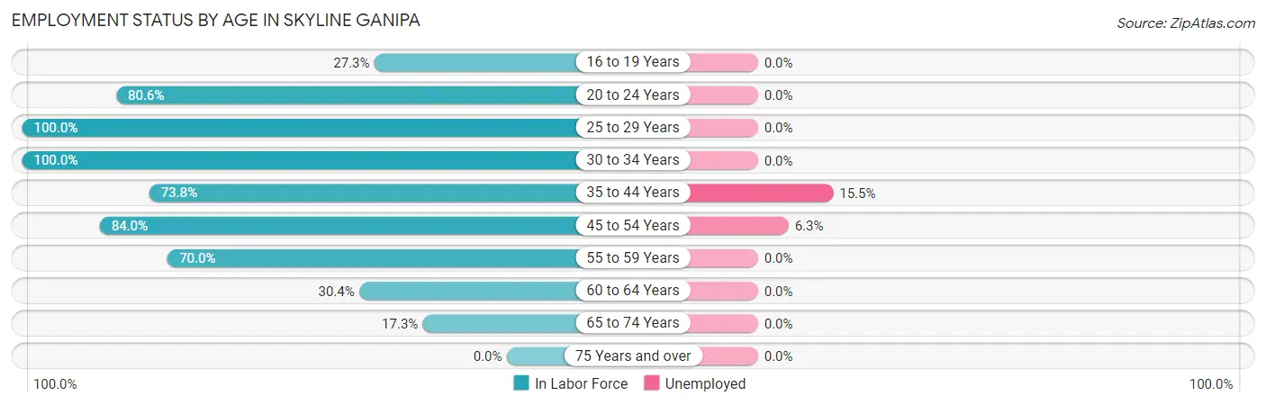 Employment Status by Age in Skyline Ganipa