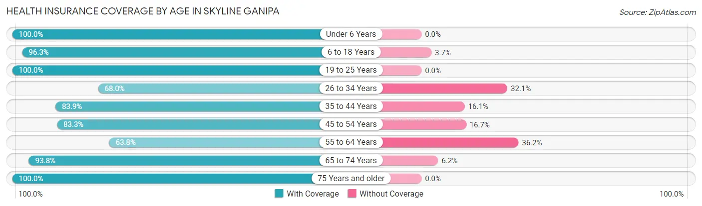 Health Insurance Coverage by Age in Skyline Ganipa