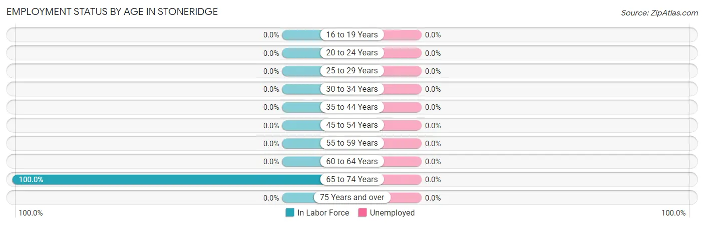 Employment Status by Age in Stoneridge