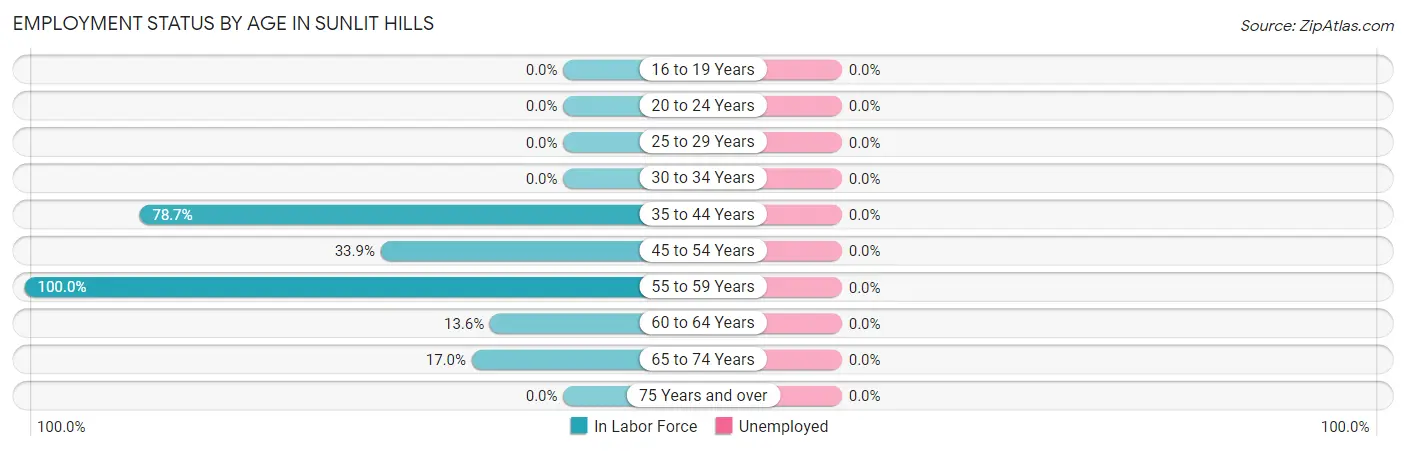 Employment Status by Age in Sunlit Hills