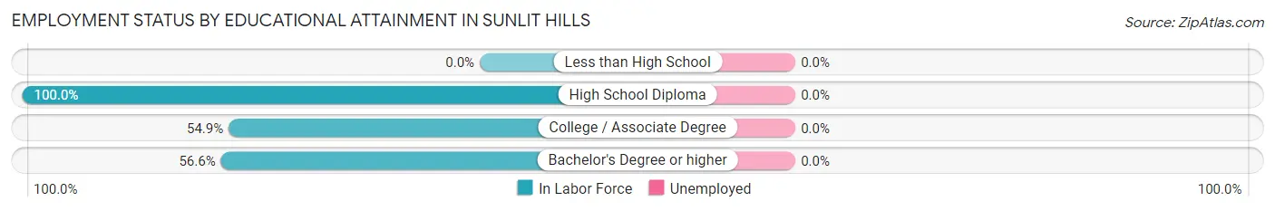 Employment Status by Educational Attainment in Sunlit Hills