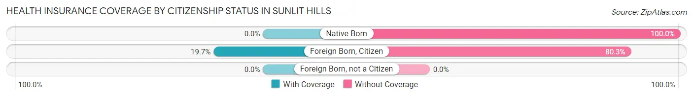 Health Insurance Coverage by Citizenship Status in Sunlit Hills