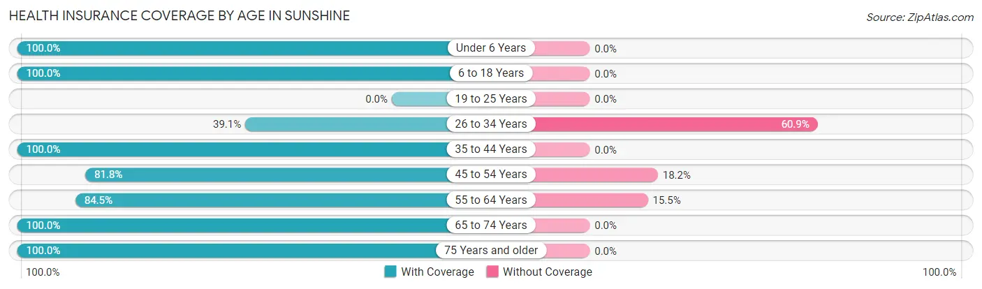Health Insurance Coverage by Age in Sunshine