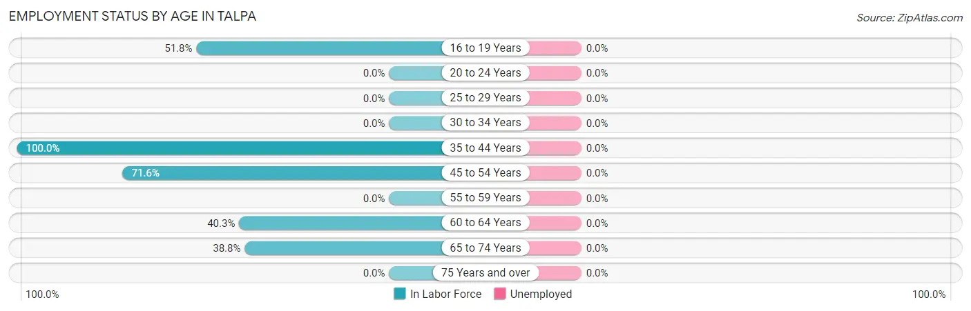 Employment Status by Age in Talpa