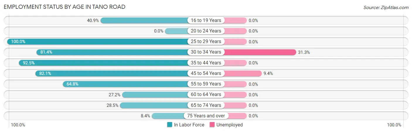 Employment Status by Age in Tano Road