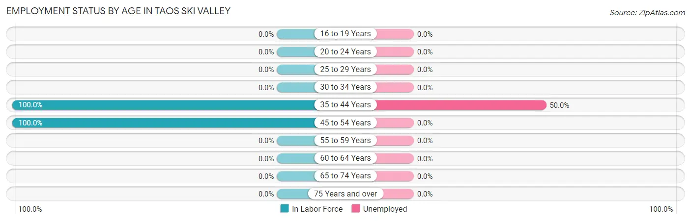 Employment Status by Age in Taos Ski Valley
