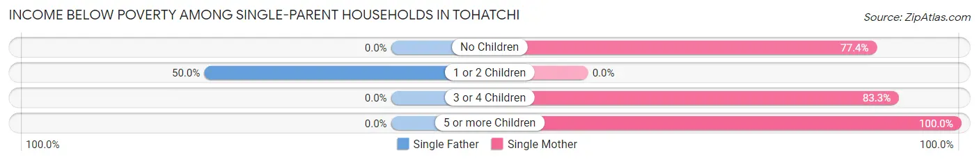Income Below Poverty Among Single-Parent Households in Tohatchi