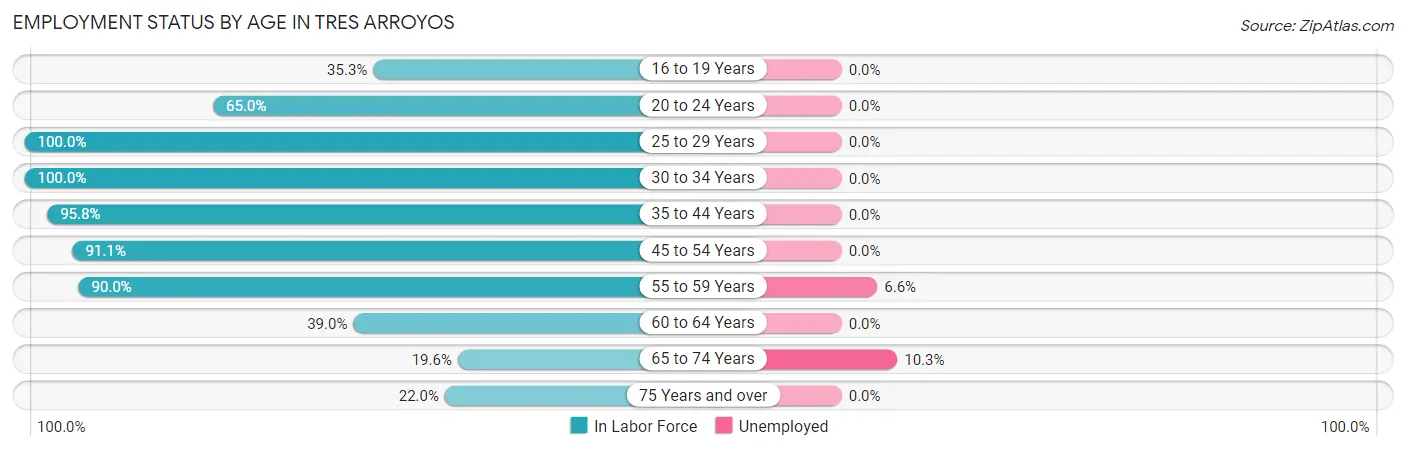 Employment Status by Age in Tres Arroyos