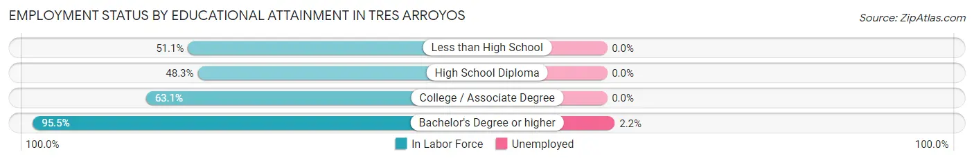 Employment Status by Educational Attainment in Tres Arroyos