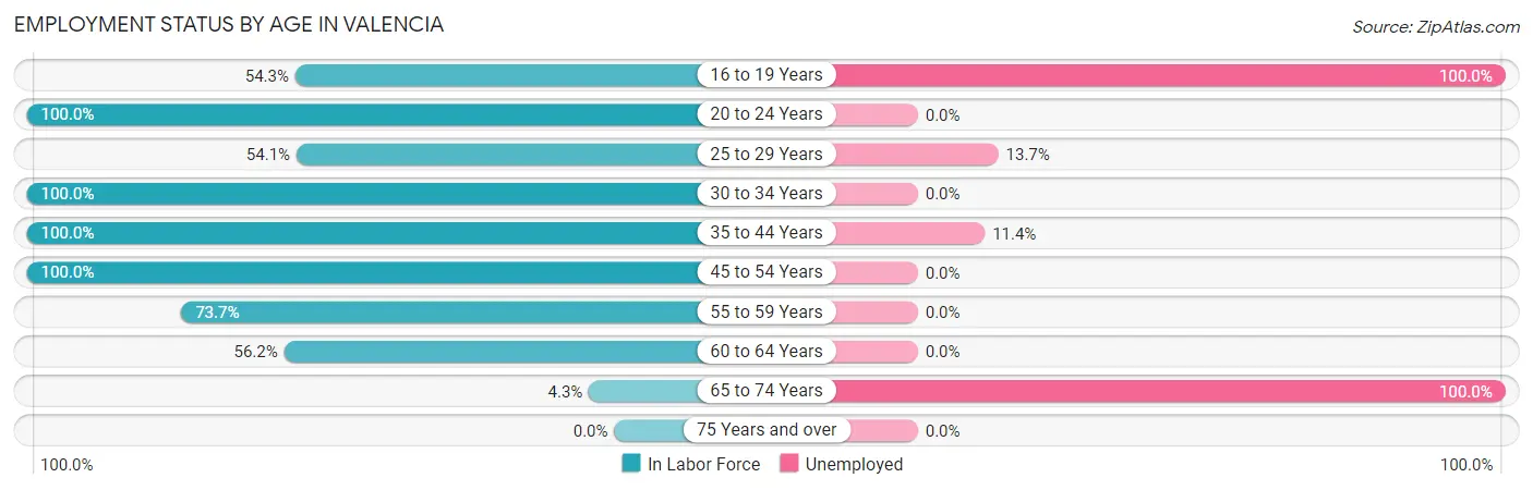 Employment Status by Age in Valencia