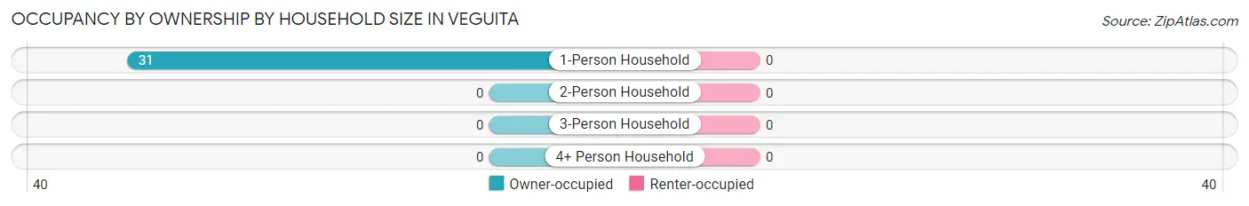 Occupancy by Ownership by Household Size in Veguita