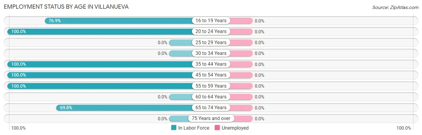 Employment Status by Age in Villanueva