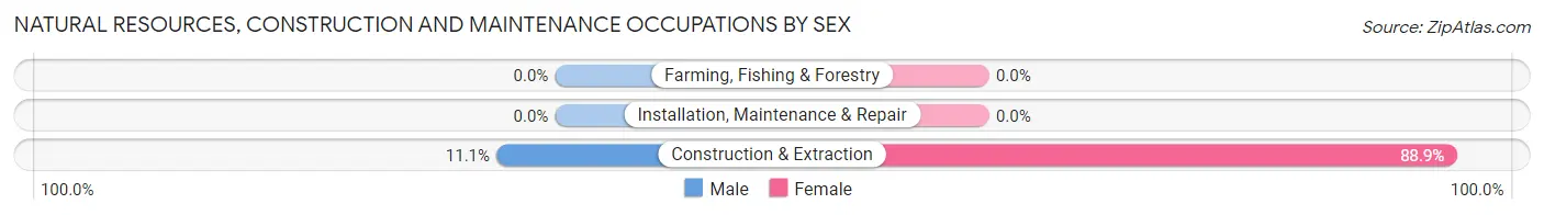 Natural Resources, Construction and Maintenance Occupations by Sex in Virden