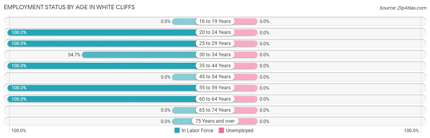 Employment Status by Age in White Cliffs