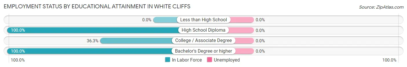 Employment Status by Educational Attainment in White Cliffs
