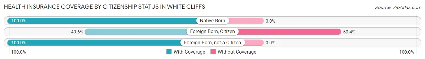 Health Insurance Coverage by Citizenship Status in White Cliffs