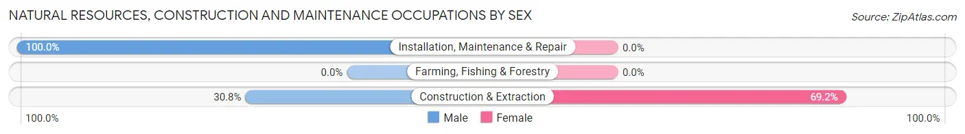 Natural Resources, Construction and Maintenance Occupations by Sex in White Rock