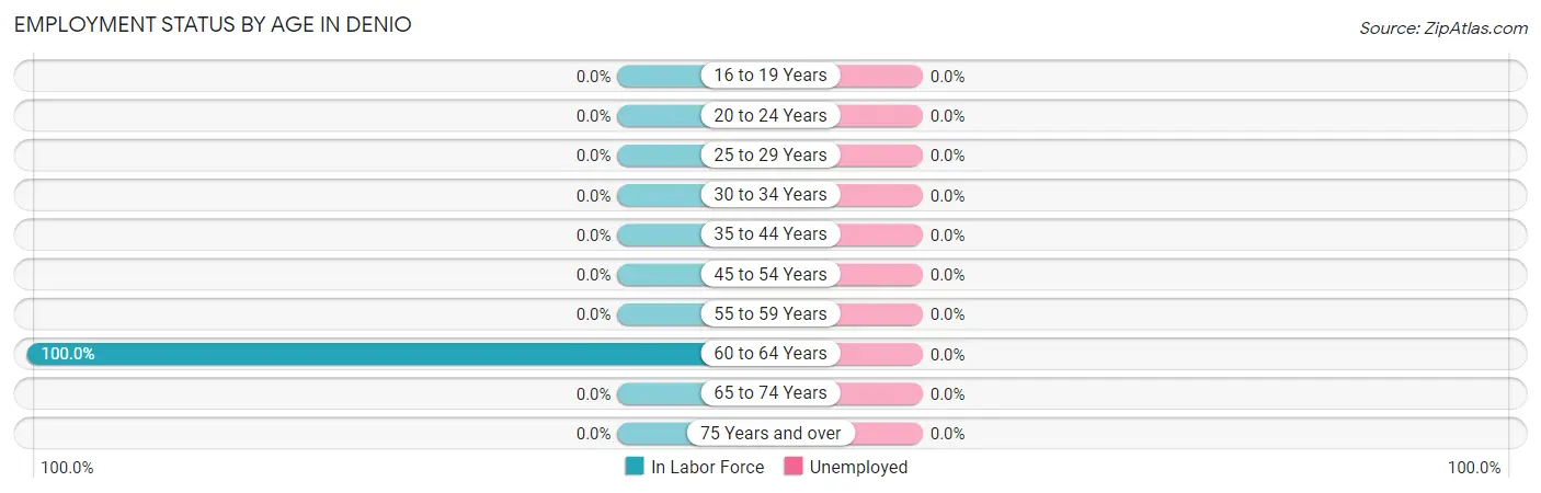 Employment Status by Age in Denio