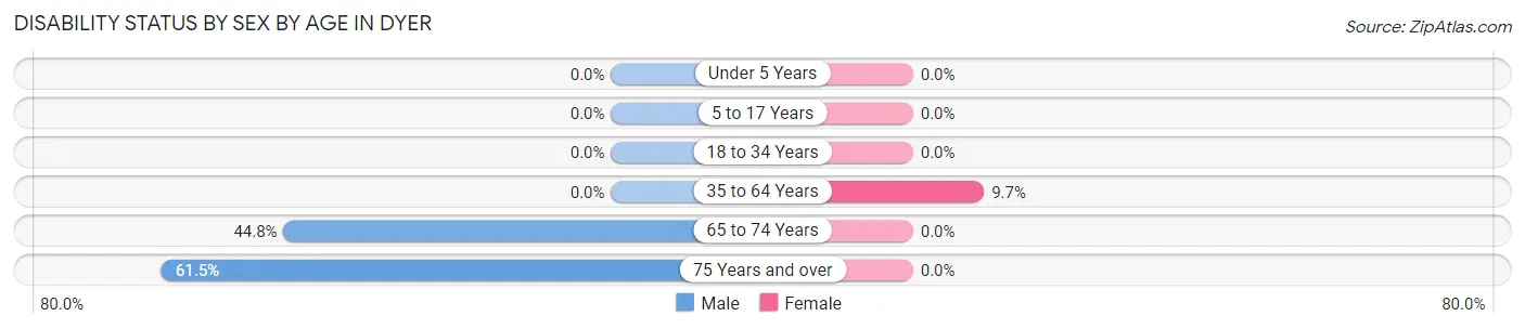 Disability Status by Sex by Age in Dyer