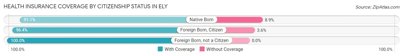 Health Insurance Coverage by Citizenship Status in Ely