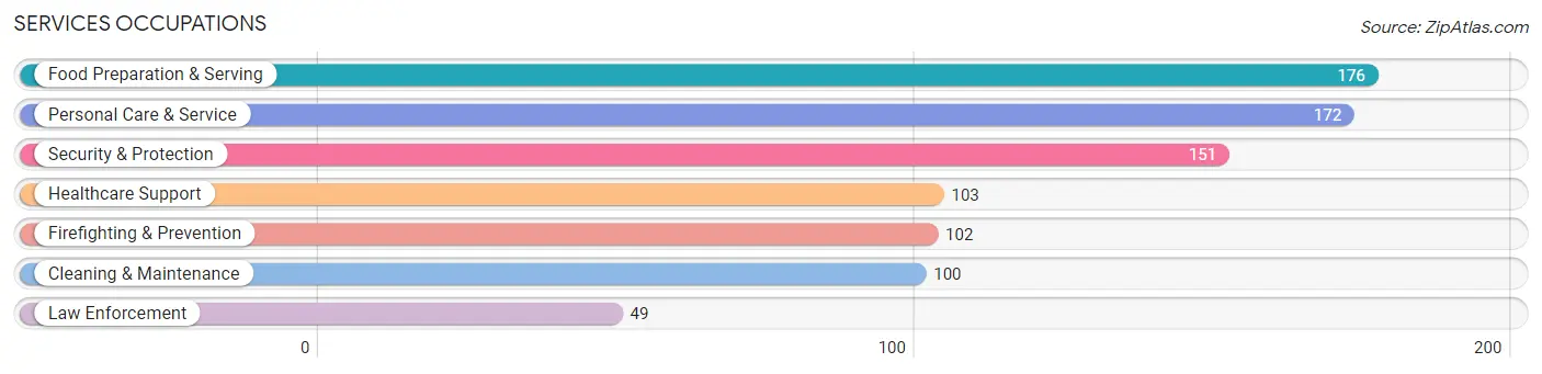 Services Occupations in Fallon