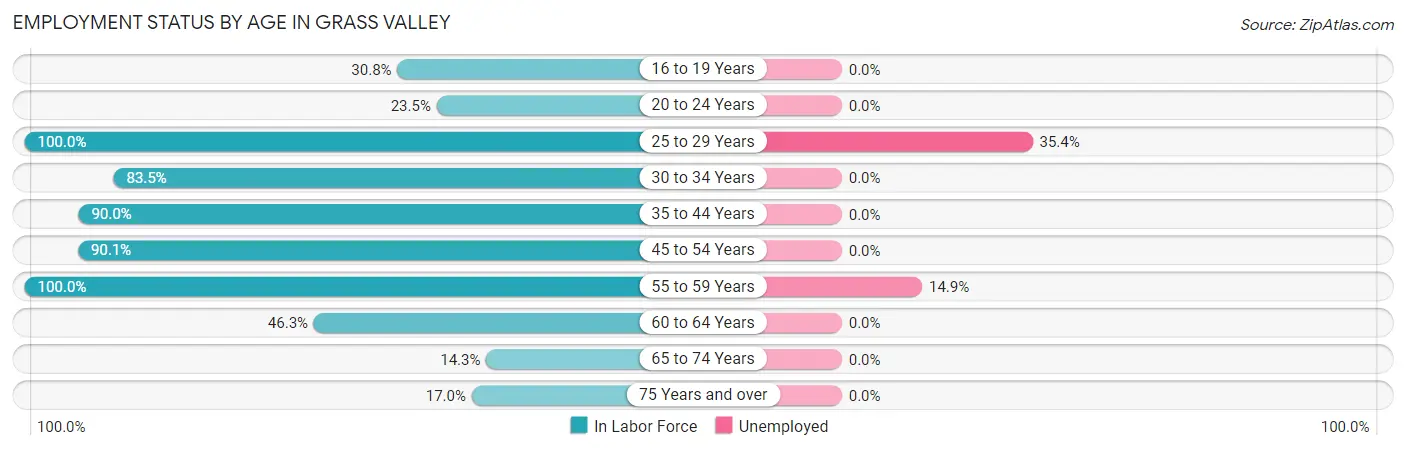 Employment Status by Age in Grass Valley