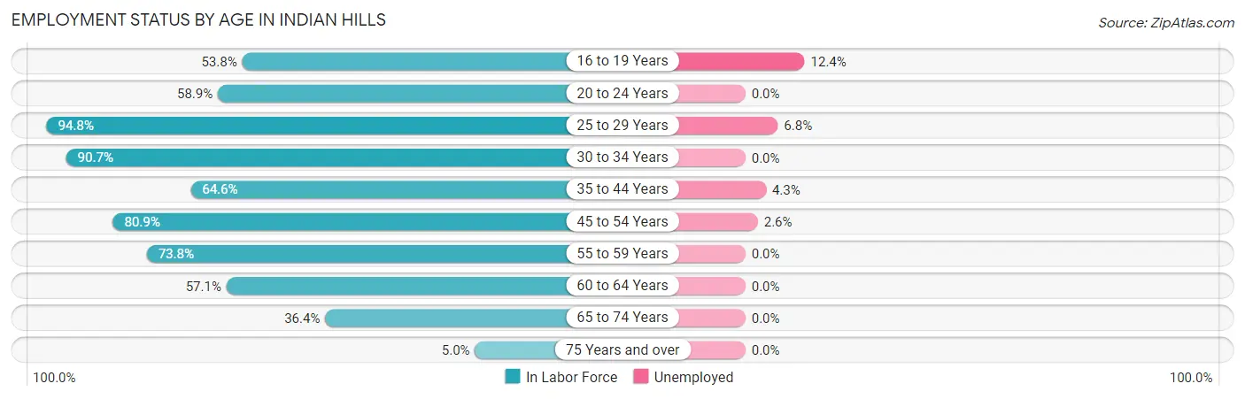 Employment Status by Age in Indian Hills